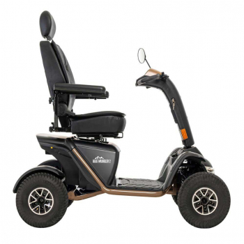 Alpenmobil Moby Pride Wrangler 2
